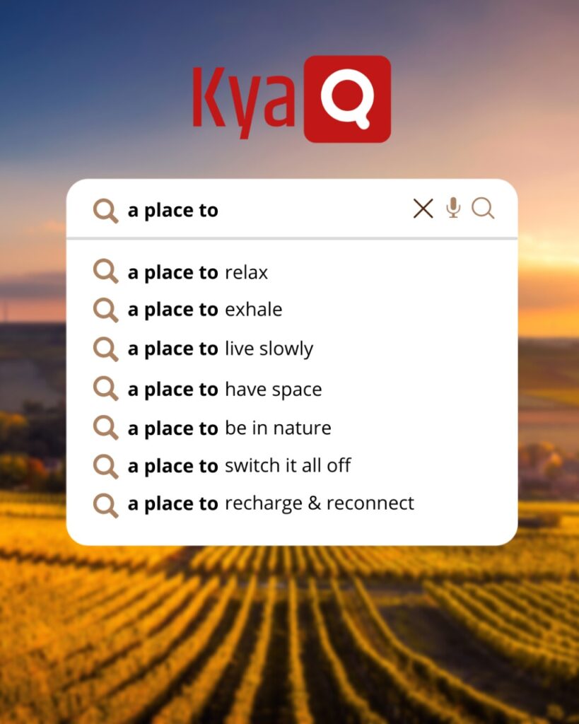 Kya Google Pagal Hai